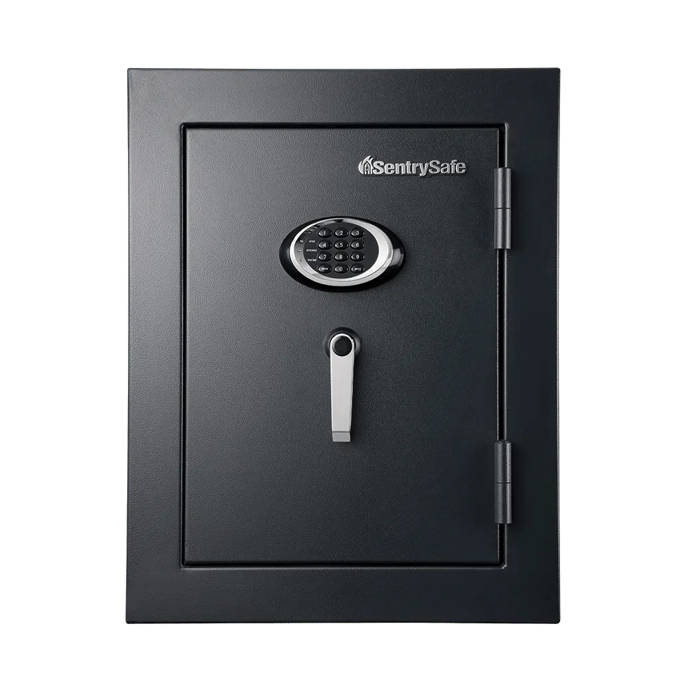 Electronic Safe In Las Vegas